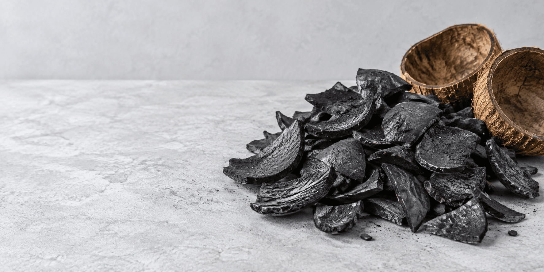 Coconut-shell charcoal fragments beside natural coconut shells.
